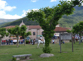 Parque de la Yedra